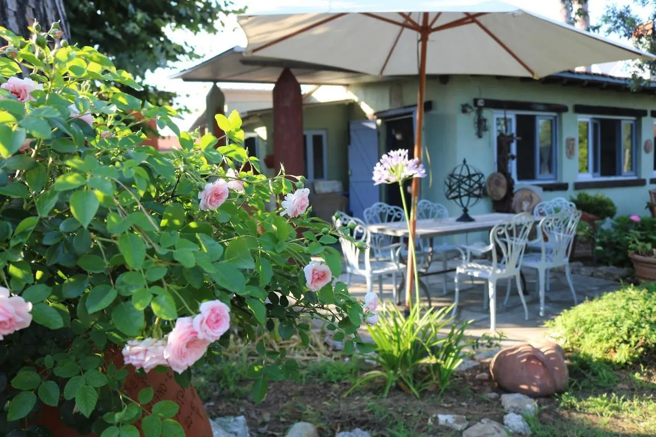 Lo Chalet Dell'Artista Torre del Lago Puccini Holiday home